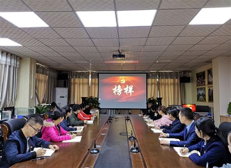 向榜樣看齊，做合格黨員