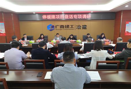 公司開(kāi)展停緩建項(xiàng)目專項(xiàng)調(diào)研