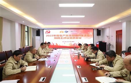 廖立波、唐峰、何勇以普通黨員身份參加所在黨支部2022年度組織生活會